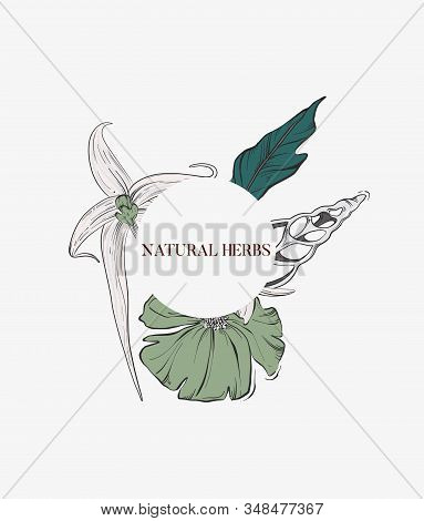 Floral Outline Print, Modern Hand-dran Line Art Bouquet, Garden Flowers Vintage Botanical Art. Roman