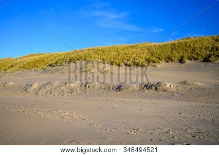 Dutch Landscape Witn North Sea Sandy Dunes Near Castricum Aan Zee, Netherlands In Winter