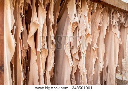Drying And Hanging Leather In Chouara Tannery, Fez, Morocco