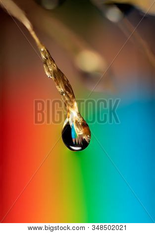 A Macro Portrait Of A Blade Of Grass With A Single Dew Drop Hanging From It. In The Water Droplet Th