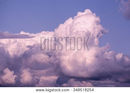 Twilight Pink Cloud On Purple Sky. Delicate Heavenly Cloudscape Sky With Pink  Coloured Cumulus Clou