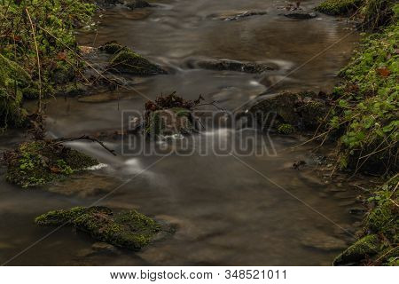 Zvikovsky Creek With Green Grass And Stones Near Velesin Town In South Bohemia