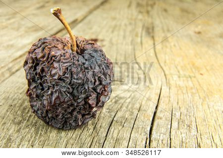 Shriveled Apple. Old Apple. Wrinkled Apple Texture. Dry Skin. Old Withered Fruit.