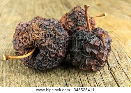 Shriveled Apple. Old Apple. Wrinkled Apple Texture. Dry Skin. Old Withered Fruit.