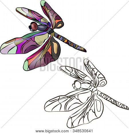 Two Stylized Dragonflies, Identical In Outline. One Is Brightly Colored In Different Colors. The Sec