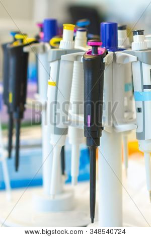 Automatic Pipettes Are On The Holder. Chemical Or Clinical Laboratory Tools.