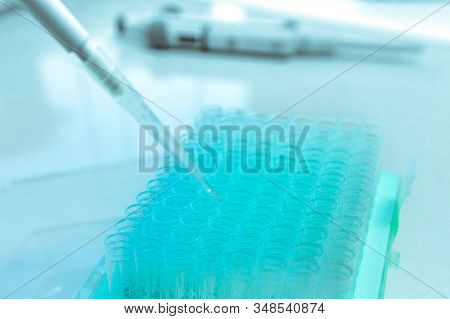 Clinical Laboratory In Process Of Chemical Analysis. Collection Of Probe Using Automatic Pipette.