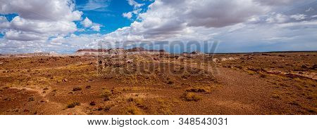 A Distant Butte Gives Contrast To The Petrified Forest - Panorama