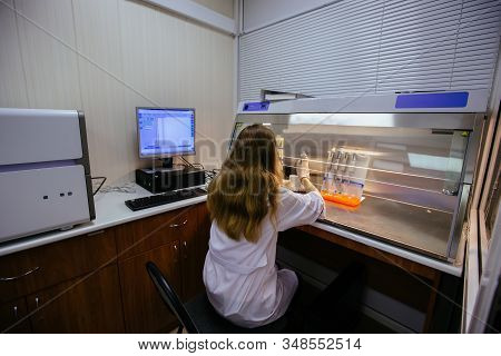 Scientist Work In Laminar Box. She Puts Samples Of Dna Fragments For Electrophoresis