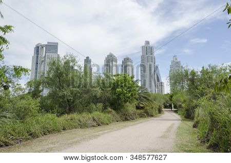 Federal Capital, Buenos Aires / Argentina; Nov 8, 2015: Footpath Of The Costanera Sur Ecological Res