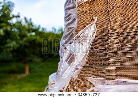 A Lot Of Folding Paper Boxes Used To Gathering Freshly Picked Cherry Fruits. Stack Of Paper Boxes Fo