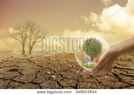 Saving Environment And Natural Conservation Concept With Tree Planing On Green Globe Earth. A Small 