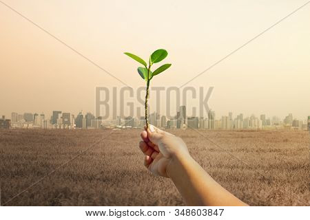 Raise Hands With Trees, With The Background Of Many Large Building. Global Warming And Pollution The