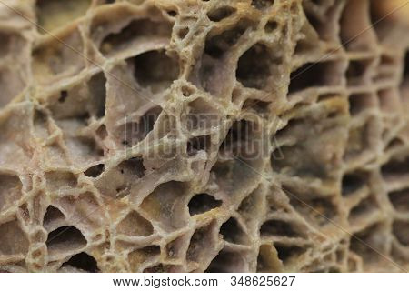 Baryte Mineral Texture As Nice Natural Background