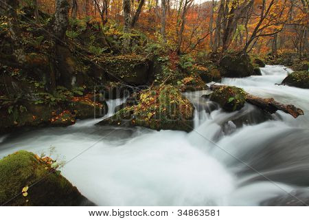 Autumn Colors Of Oirase River