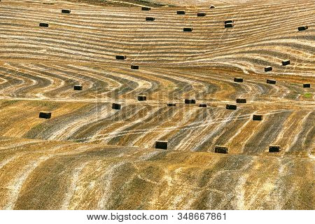 Rural Landscape Near Gravina Di Puglia, Bari, Apulia, Southern Italy, At Summer.
