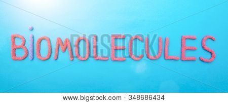 Inscription Biomolecule In Red Letters On A Blue Background. The Concept Of The Section Of Science I