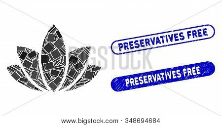 Mosaic Lotus Flower And Grunge Stamp Seals With Preservatives Free Phrase. Mosaic Vector Lotus Flowe