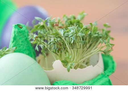 Decorative Handmade Easter Egg Present Box With Eggs And Cress. Beautiful Decoration Easternest Bask