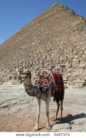 Pyramide de Gizeh