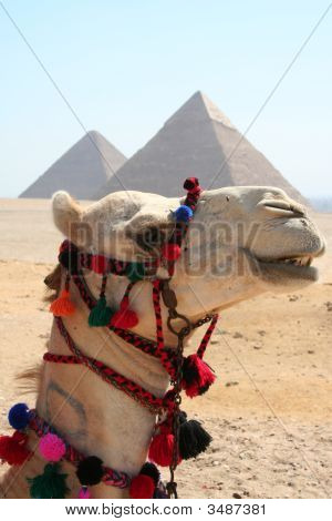 Pyramide de Gizeh