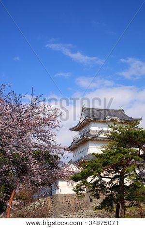 Odawara linna ja Cherry Blossom