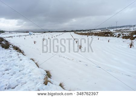 Snowy Farm Field In The Town Of Barracas