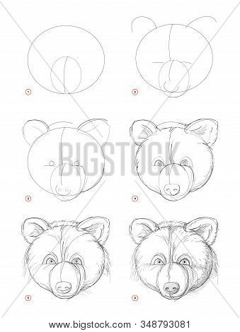 How To Draw Sketch Of Imaginary Cute Bear Head. Creation Step By Step Pencil Drawing. Education For 