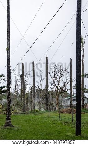 Leilani Estate, Hawaii, Usa. - January 14, 2020: Devastation In Parts Untouched By Lava. Topped Off 