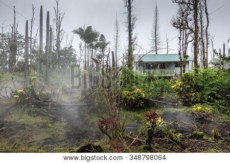 Leilani Estate, Hawaii, Usa. - January 14, 2020: Devastation In Parts Untouched By 2018 Lava. Poison