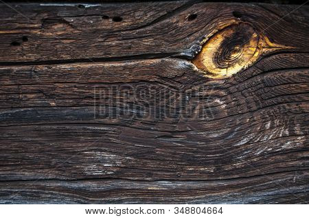 Bright Natural Wood Knot Detail In Brown Texture. Abstract Wooden Background. Beautiful Ancient Roug