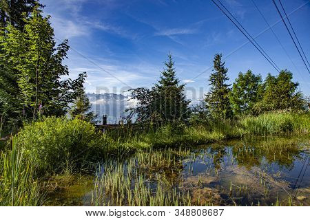 Landscape, Rigi Kaltbad, Switzerland With Trees And Blue Sky