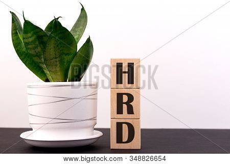 Hrd Inscription On A Wooden Block On A Table And A Light Background With A Flower In Human Resources