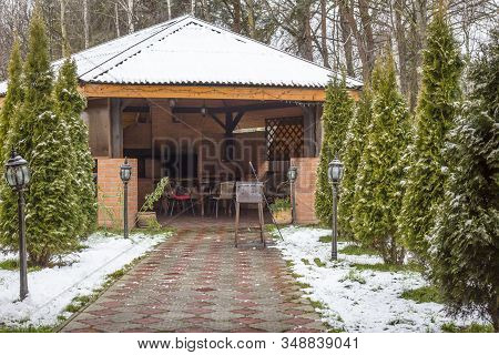 Thuja In The Yard With Gazebo. Winter Lawn At Home. Green Decoration Plant.