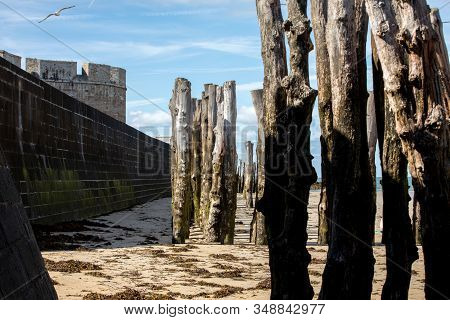 Big Breakwater, 3000 Trunks To Defend The City From The Tides, Plage De L Eventail Beach In Saint-ma