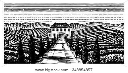 Scenic View Of Vineyards. Wide Panoramic Vine Plantation In Chianti. French Or Italian Engraved Land