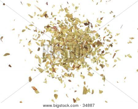 Oregano