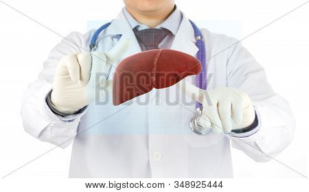 Doctor Check Hologram 3d Liver , Concept Fatty Liver