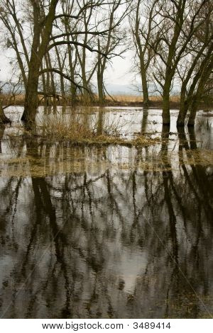 Alluvione