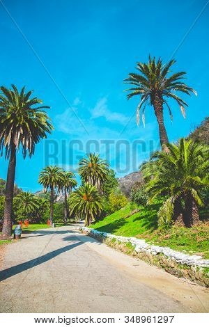 Runyon Canyon Park Hollywood Hill Hike View