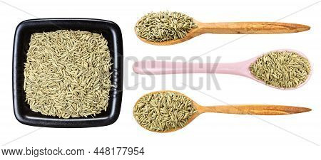 Set Of Various Aniseeds Isolated On White Background