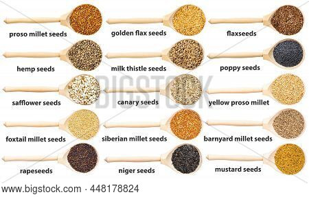 Set Of Top Views Of Wooden Spoon With Various Seeds With Names Isolated On White Background