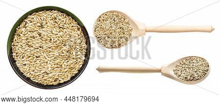 Set Of Various Scagliola Canary Seeds Isolated On White Background