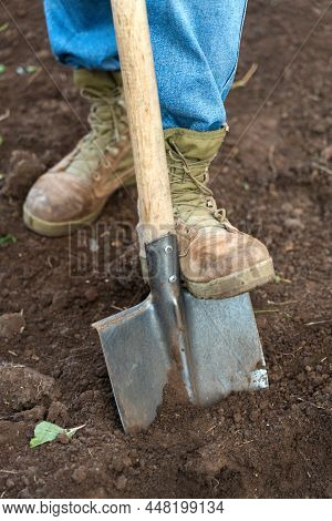 Farmer's Feet Shod In Boots And Jeans Dig The Ground With A Shovel, Close-up