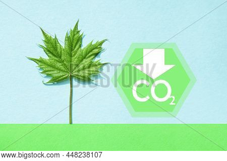 Decarbonization Of Real Estate. Lower Co2 Emissions And Reduce Carbon. Green Maple Leaf, Co2 On Blue