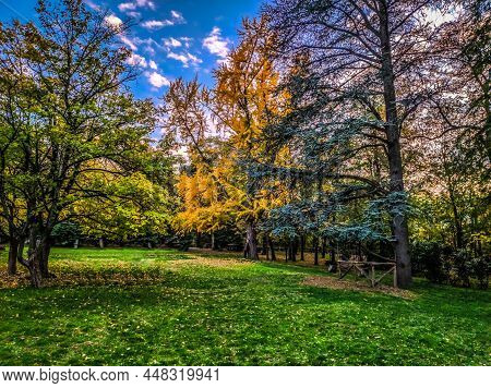 Talon Park At Sunset
