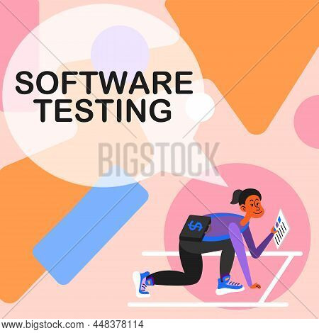 Text Caption Presenting Software Testing. Concept Meaning Investigation Provide Information About Th