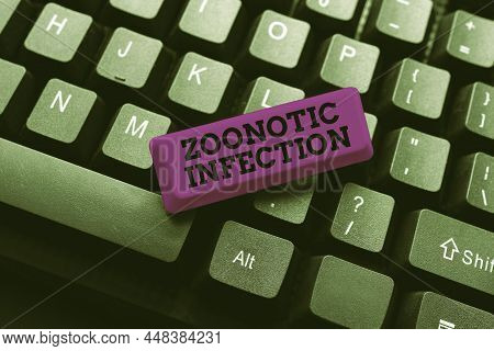 Text Caption Presenting Zoonotic Infection. Business Approach Zoonotic Infection Entering New Progra