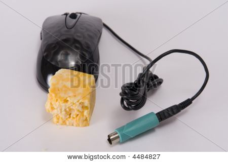 Počítačová myš