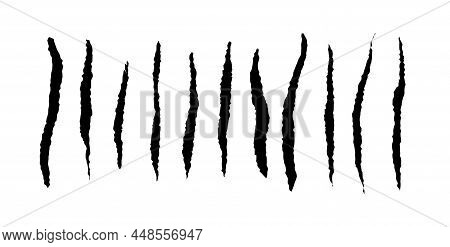 Set With Werewolf, Cat Or Beast Scratch Scrape On White Background. Four Wound Marks. Isolated Print
